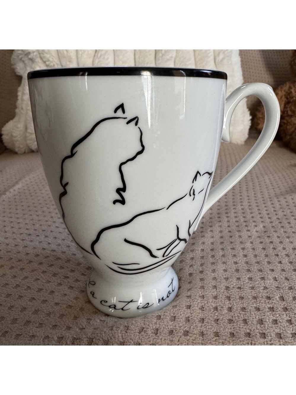 The Monkey and The Peddler Mug  "A Cat is—and a Cat is not" by Liz Ross